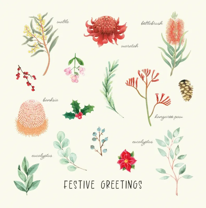 BCNA Christmas Card Pack - Australian Flora